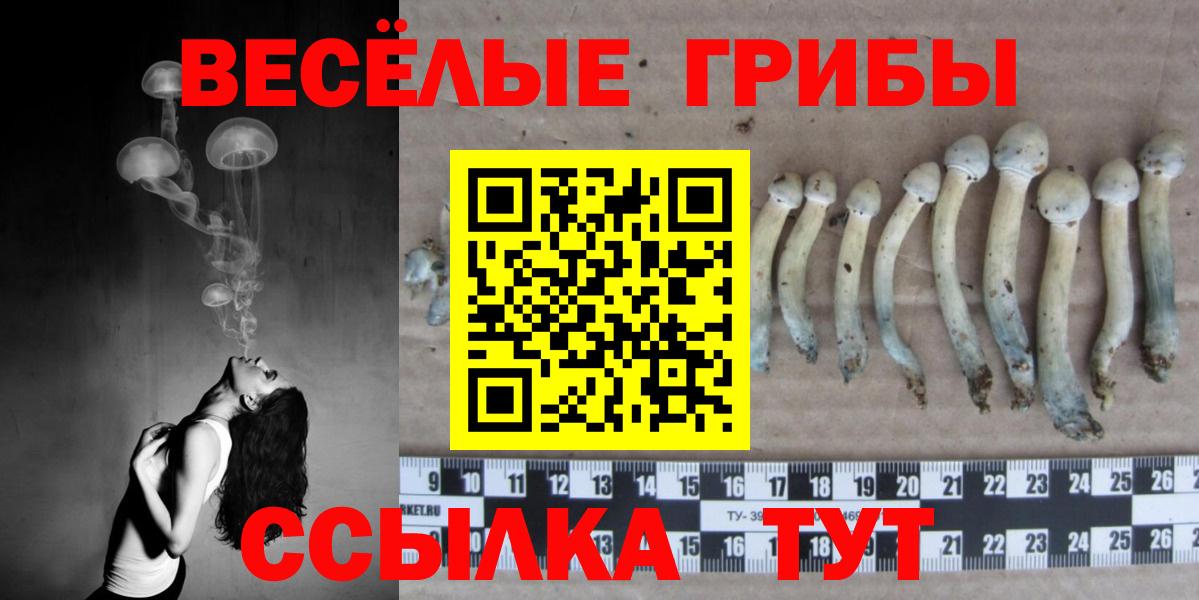 Тосно  Галлюциногенные грибы мицелий  Вход с VPN 